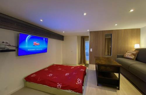 Une escale face au lac Léman - Photo 2