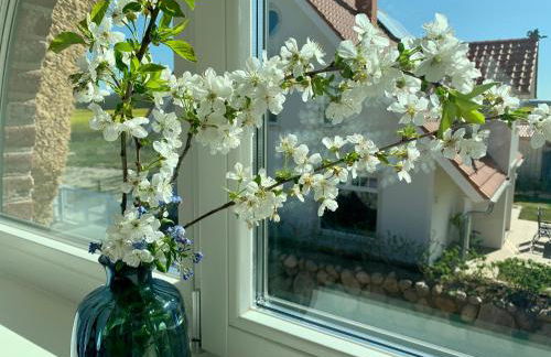 Reethus Linda - Foto 47