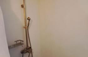 Little 1836 - Foto 12