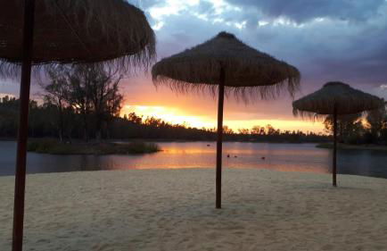 Palacete Dos Alcaides - Foto 66