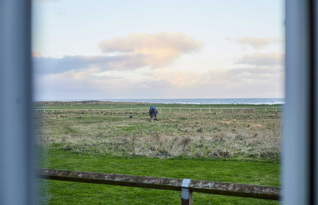 Host Stay By The Sea - Foto 20