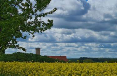 24 Personen Ferienhaus Burgscheune Gnandstein - Foto 25