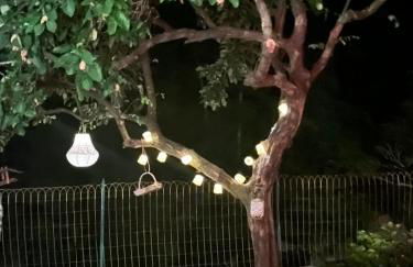 Gîte La Fougère - Foto 19