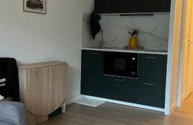 Studio cosy Mont-Dore avec vue, balcon, parking - Foto 4