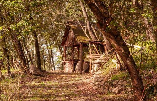 Villa de Luccheri - Foto 68