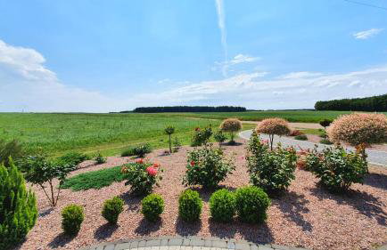 Agrosielanka - Foto 10