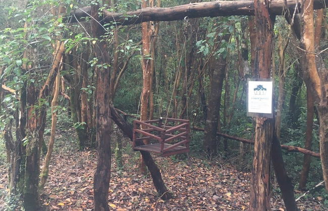 Cabañas Ensenada Bosque Nativo - Foto 44