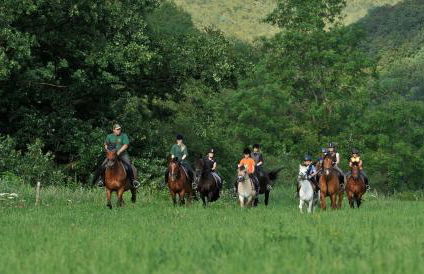 Landgasthof Probstei Zella - Foto 39