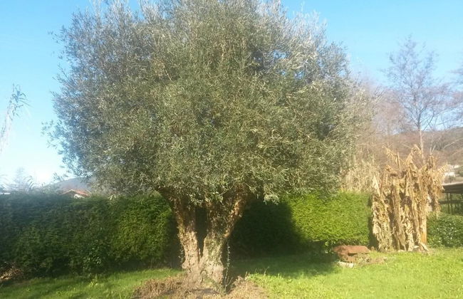 Agroturismo Ibarrondo Etxea - Foto 31