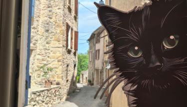 Maison cosy entre Gorges du Verdon et Côte d'Azur - Foto 4