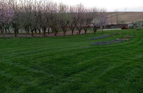 Domki w Winnicy - Świętokrzyska Winnica Knapów - Foto 26