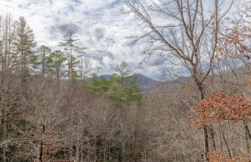 Brother Bear Hollow - Foto 18