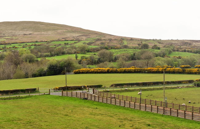 Glenshane Country House - Foto 26