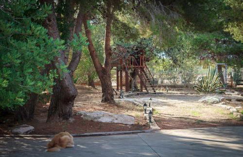 El Maset de Torredembarra - Foto 34