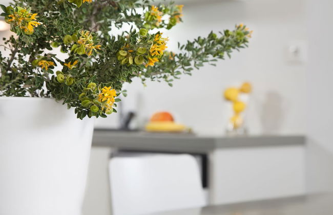 Plan B Holidays - Foto 8