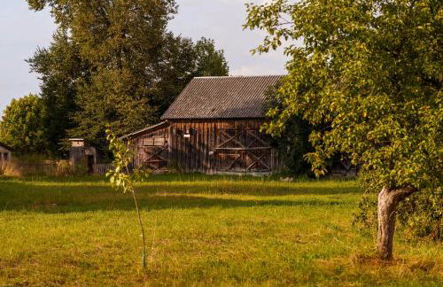 Arche Siedlisko Augustynka 39 - Foto 4