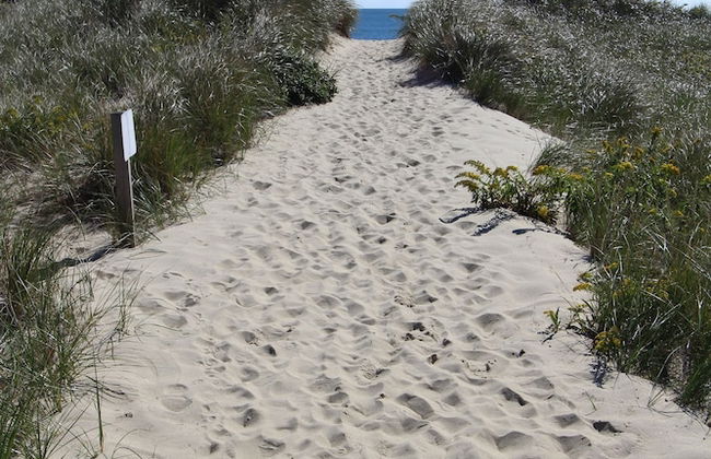 Edgewater Beach Resort, a VRI resort - Photo 37