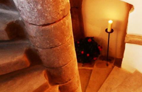 Schloß Roßdorf Ferienwohnungen & Camping - Foto 41