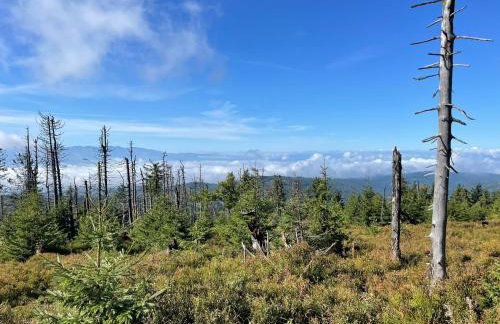 Szlak By Trafił - Photo 78