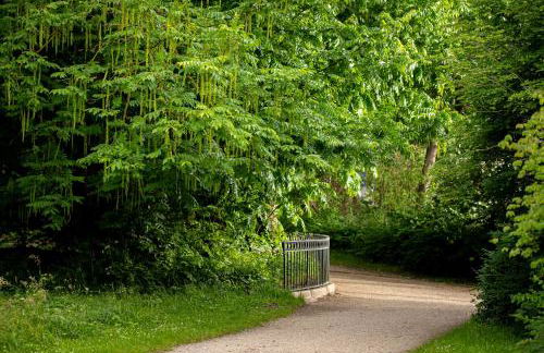 Wohnen im Carl Maria von Weber Geburtshaus - Foto 9