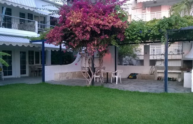 BLUE BLOCK - Photo 6