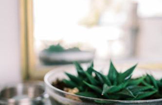 LaPlayaSuites 1st - Foto 17