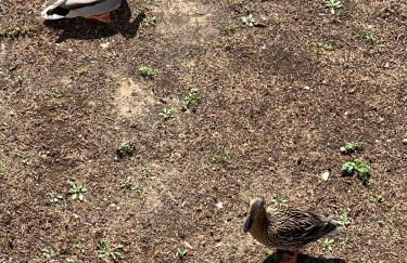 Achter Wiek - Foto 25