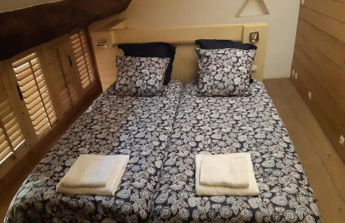 Annecy Carnot - Foto 15