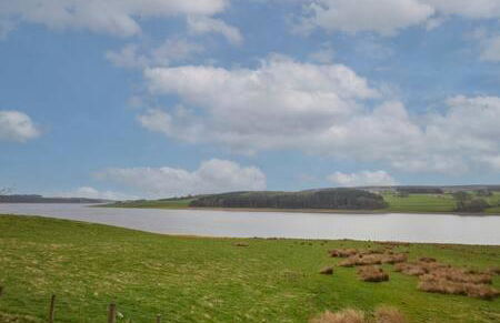 Host & Stay - Himmell - Foto 40