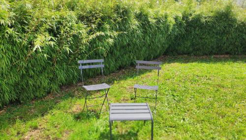 Le Jardin d Ambroise - Foto 2, Garden