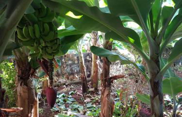 City View Gardens I - Foto 25