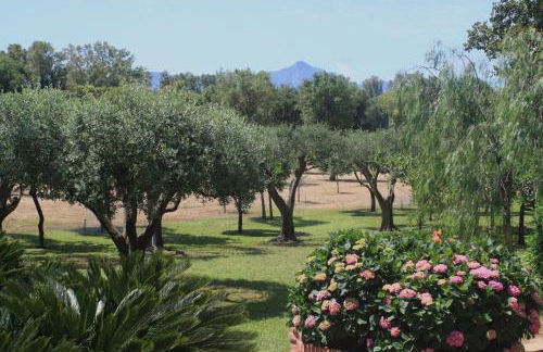 Appartamenti La Cicadea - Foto 18