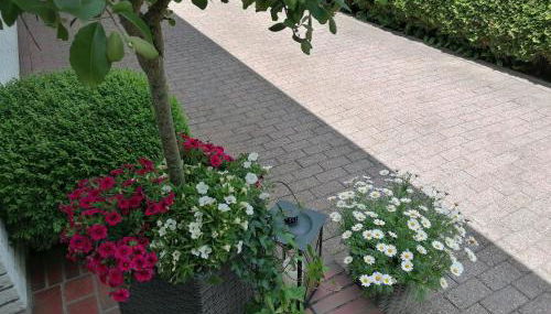 Ferienwohnung Schwalbennest - Foto 4