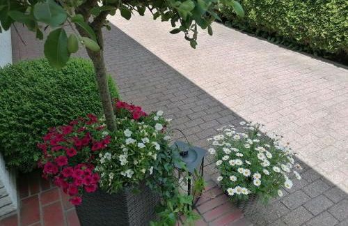 Ferienwohnung Schwalbennest - Foto 4