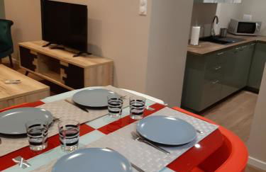 4 Apt T2 50 à 60 M2 déplacement "PRO" ou "couple avec enfants" Les Hauts De Bourg " - Foto 48