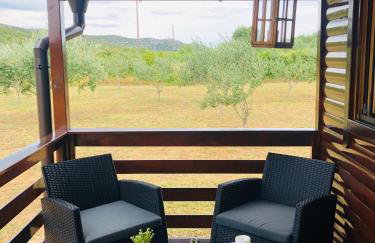 Robinson house Orkula in the heart of olive's yard - Foto 8