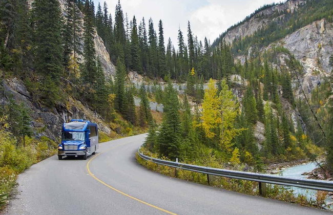 Excursión a un refugio de osos grizzly - Foto 8