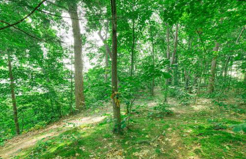 Private Island Home in Belding with Dock and Grill! - Foto 23