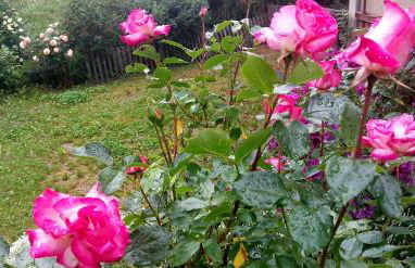 La BREZOUNIÉRE 2 - Foto 41