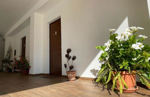 Agriturismo Torre Ercolana - Foto 35