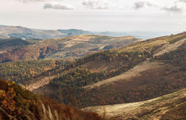 Charming Farmhouse in Cros-de-georand With Swimming Pool - Photo 61