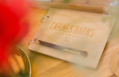 Carines Barns - Tre - Foto 12