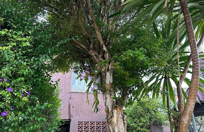 Mansao no centro São Roque - Photo 59