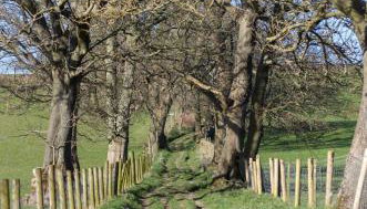 Spacious and bright 1 - bedroom rental unit - Foto 5