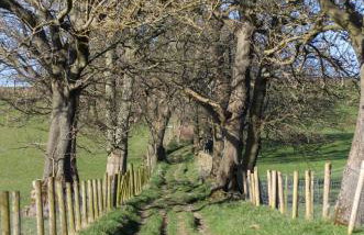 Spacious and bright 1 - bedroom rental unit - Photo 5