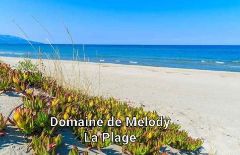 Les villas de Mélody - Foto 69