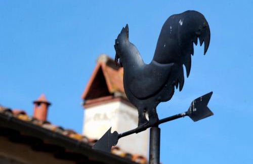 Agriturismo il Pino - Bioagricoltura - Photo 15