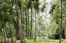 Le relais du Château - Foto 31