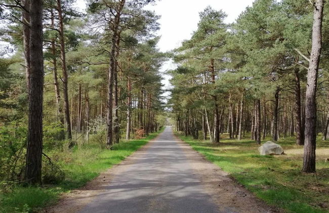 "Helmi" - 1km from the sea - Photo 5