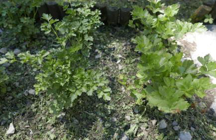 Quater Apartments - Tremezzina - Foto 44